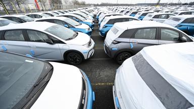 Zahlreiche Neuwagen des Modells Dolphin vom Autohersteller BYD stehen im BLG Auto Terminal Bremerhaven.