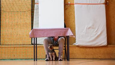 Eine Person sitzt mit Hund hinter der Absperrung einer Wahlkabine bei der Stimmabgabe.